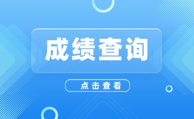 成绩查询