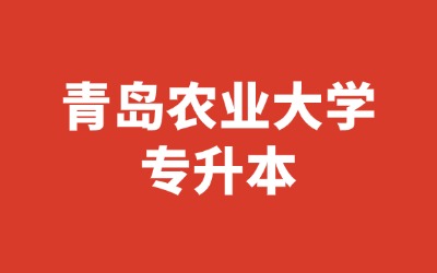 青岛农业大学专升本