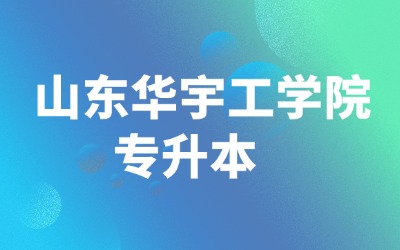 山东华宇工学院专升本