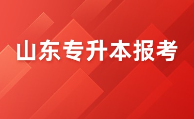 山东专升本报考