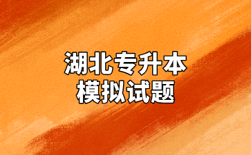 湖北专升本模拟试卷