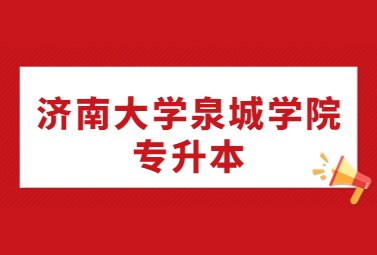 济南大学泉城学院专升本